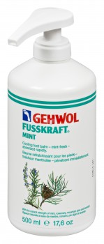  gehwol fusskraft menthe 500 ml avec pompe g11110411