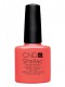 cnd shellac desert poppy 7,3 ml